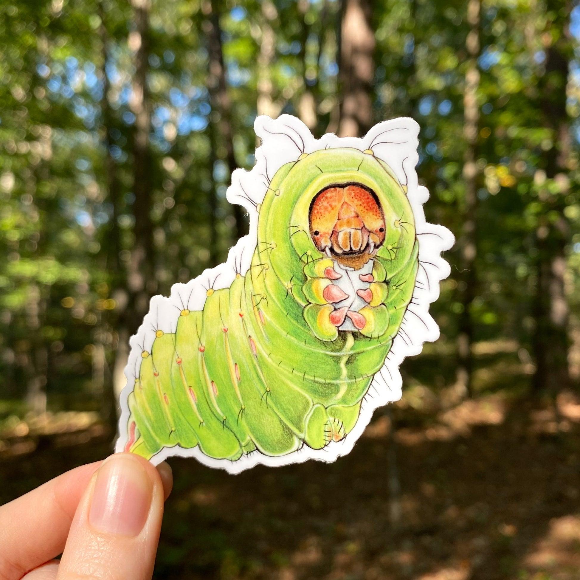 A hand holding a weatherproof vinyl sticker of a Polyphemus moth caterpillar holding and eating a letter.