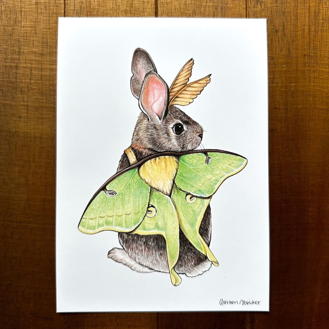 Luna Moth Eastern Cottontail Rabbit Print (5" x 7")