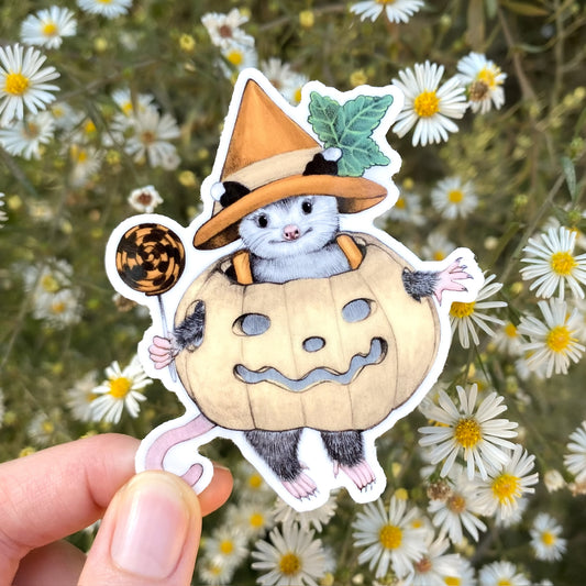 A hand holding a weatherproof vinyl sticker of an opossum in a white pumpkin and witch hat.