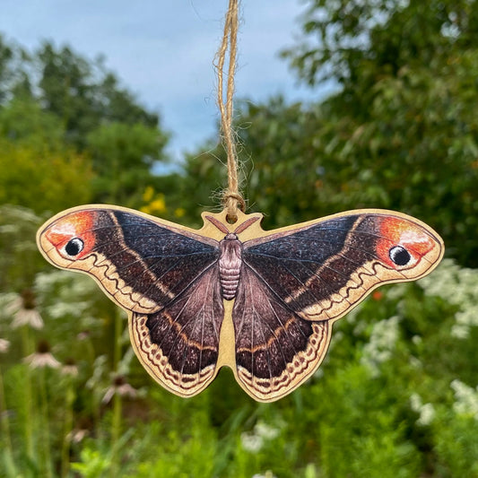 A wooden ornament strung with twine of a Promethea moth.