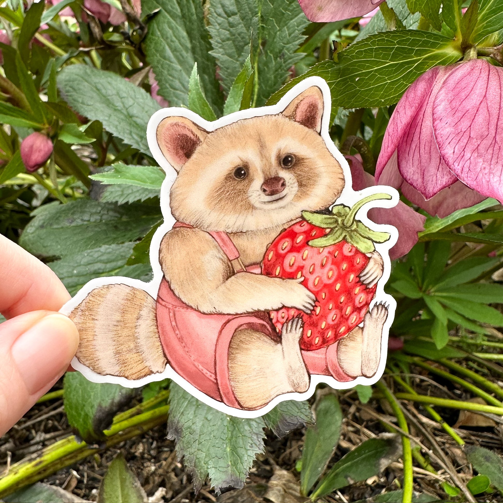 A hand holding a weatherproof vinyl sticker of a blond raccoon in pink overalls holding a strawberry.