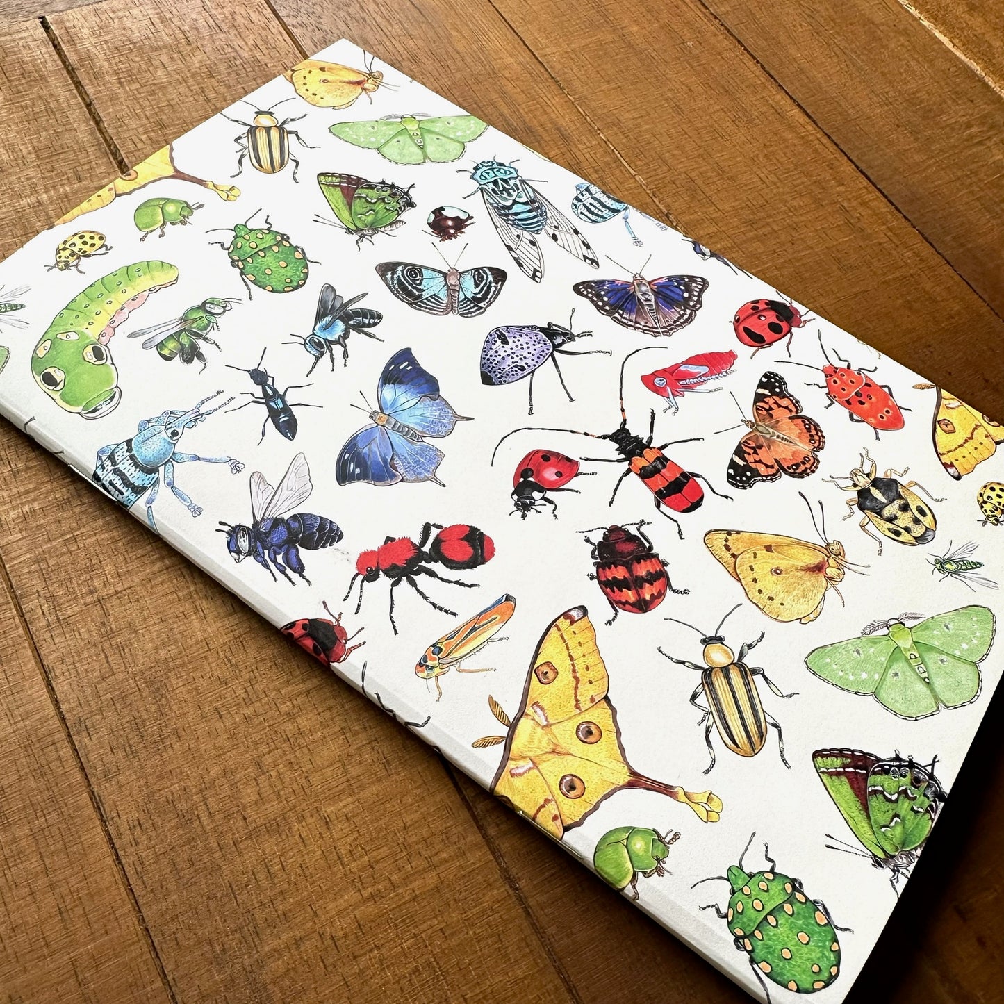 Rainbow Insects Handmade 5" x 8" Journal (Dotted)