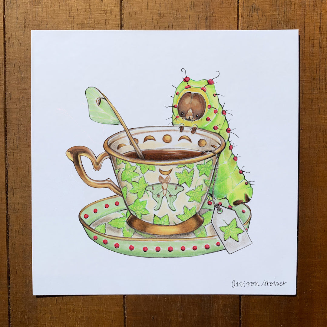 Teacup Luna Moth Caterpillar Print (5" x 5")