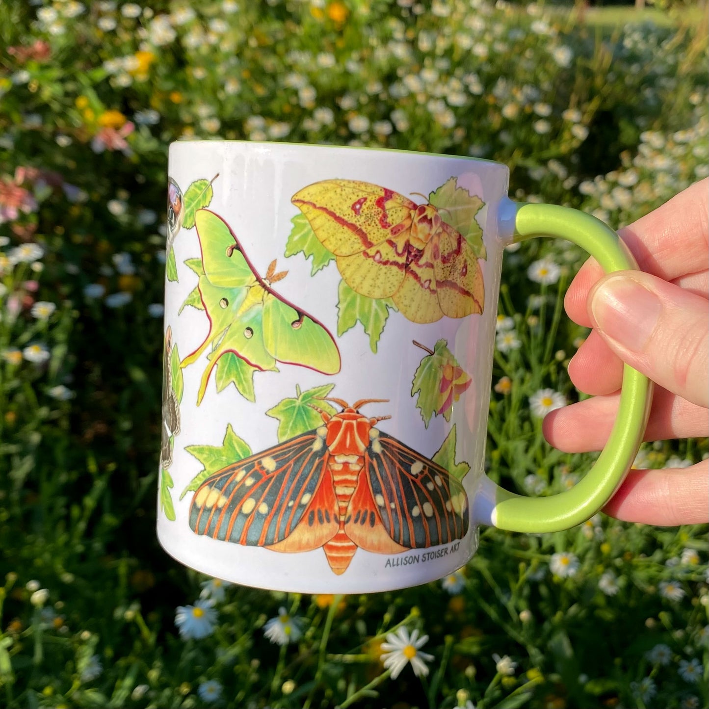 Silk Moths of the Eastern United States Mug