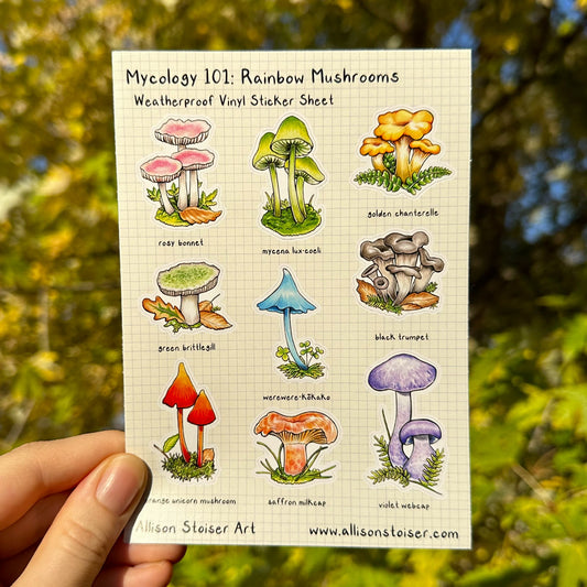 Mycology 101: Rainbow Mushrooms Weatherproof Vinyl Sticker Sheet