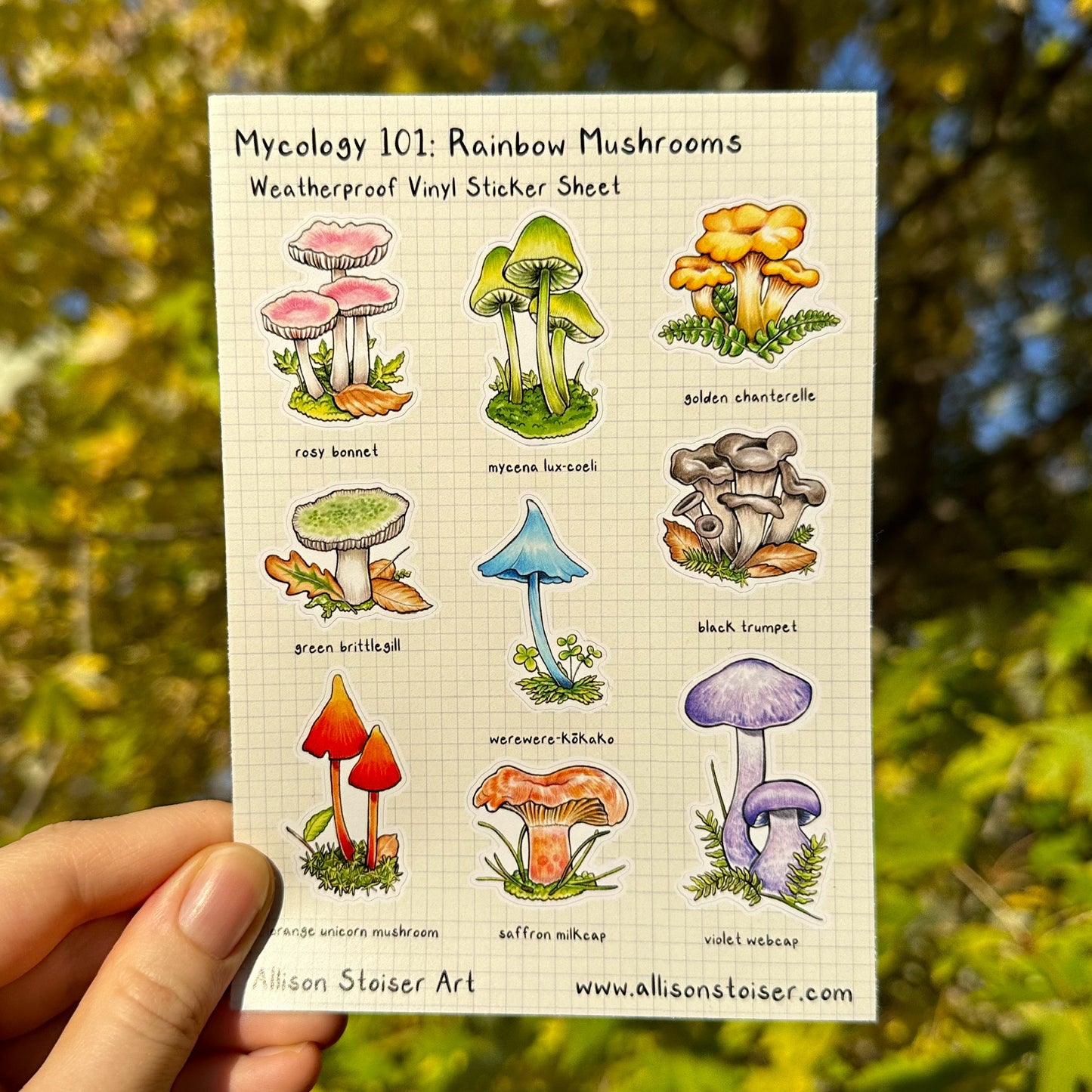 A weatherproof sticker sheet featuring illustrations of colorful mushrooms