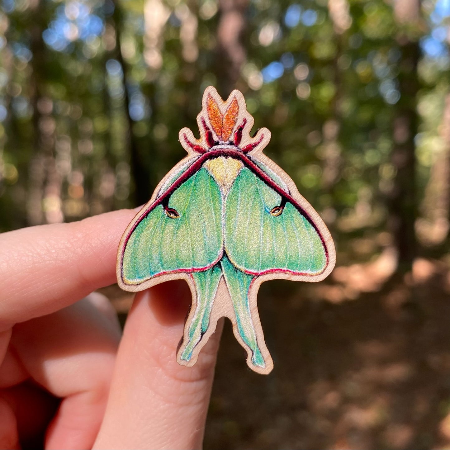 A hand holding a sustainably sourced wooden pin featuring an illustration of a luna moth