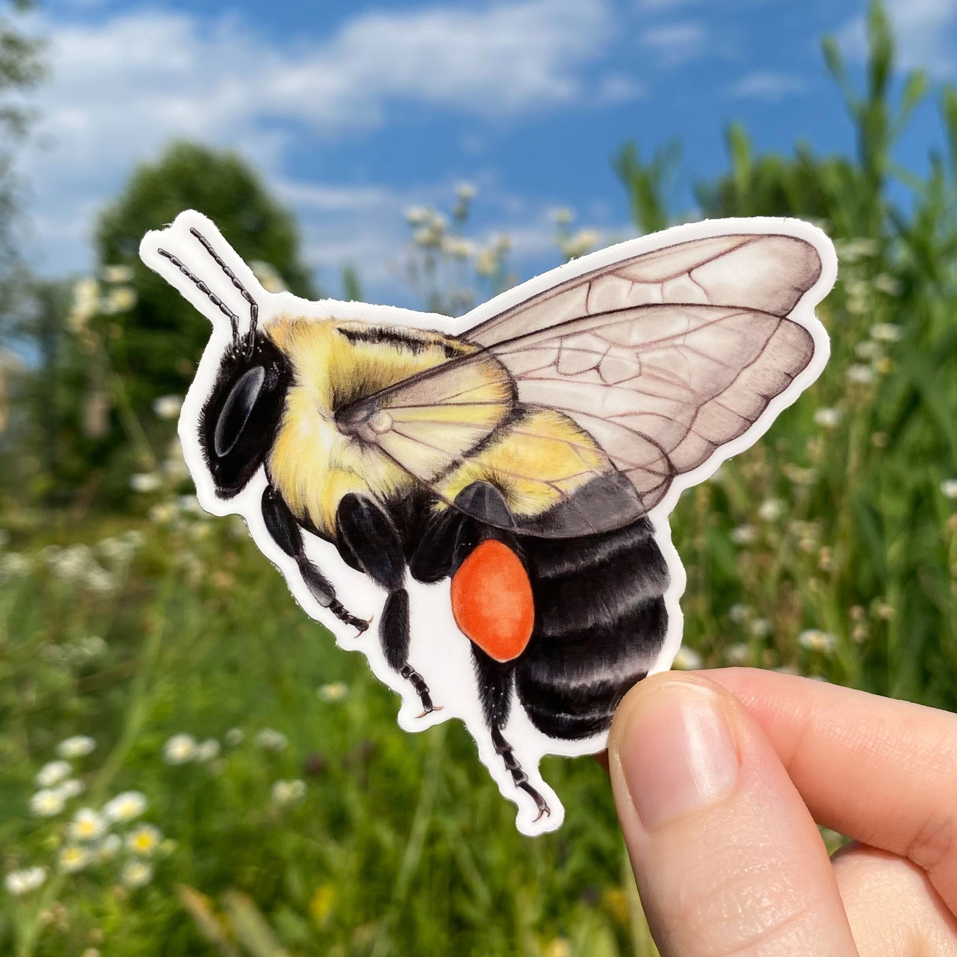 A hand holding a weatherproof vinyl sticker of a flying common eastern bumble bee.