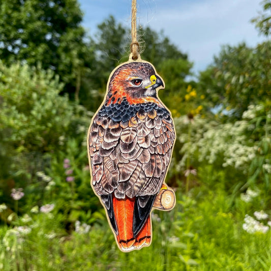 Red-Tailed Hawk Wood Print Ornament
