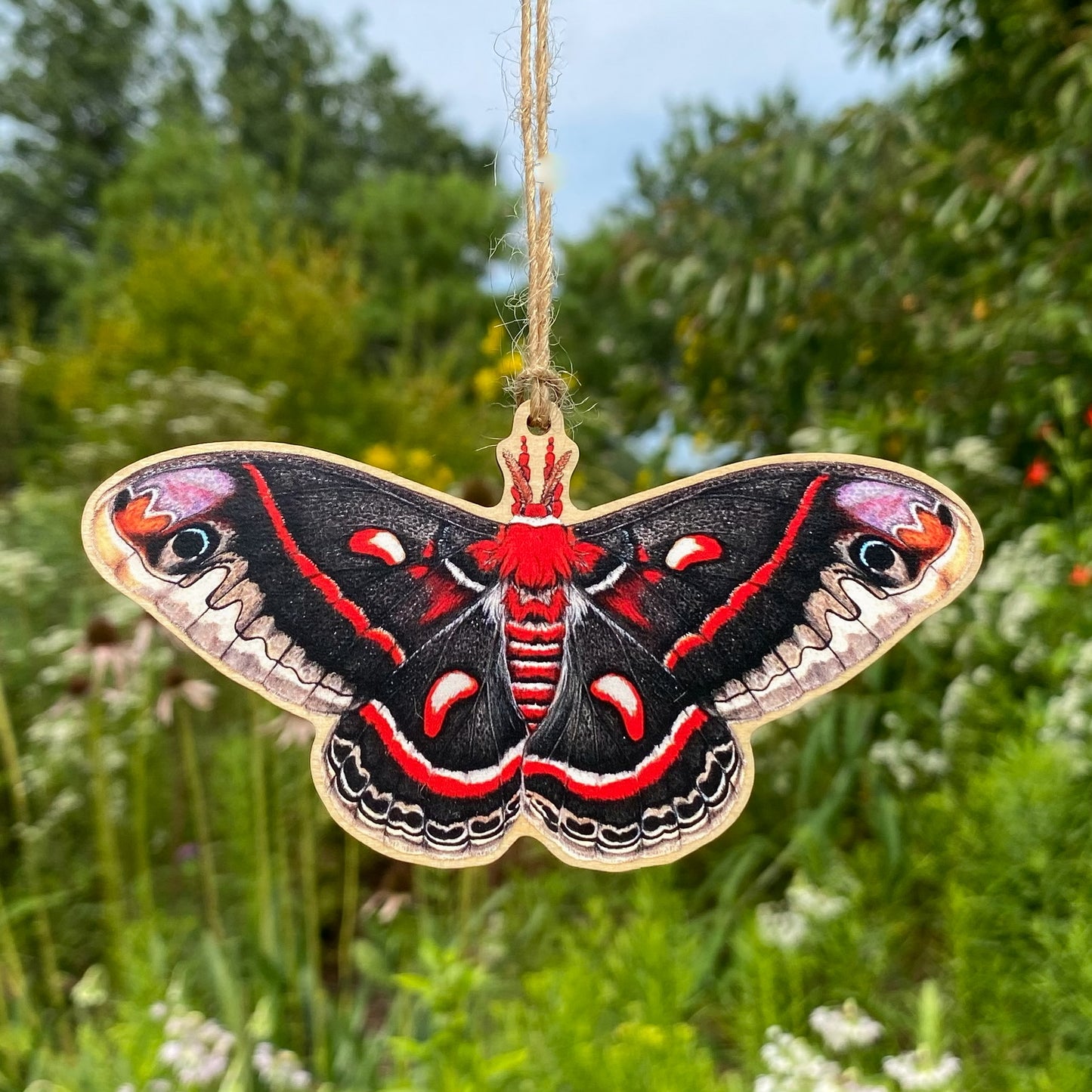 A wood print ornament featuring an illustration of a cecropia moth