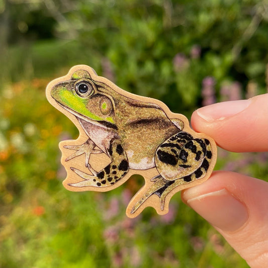 American Bullfrog Pin