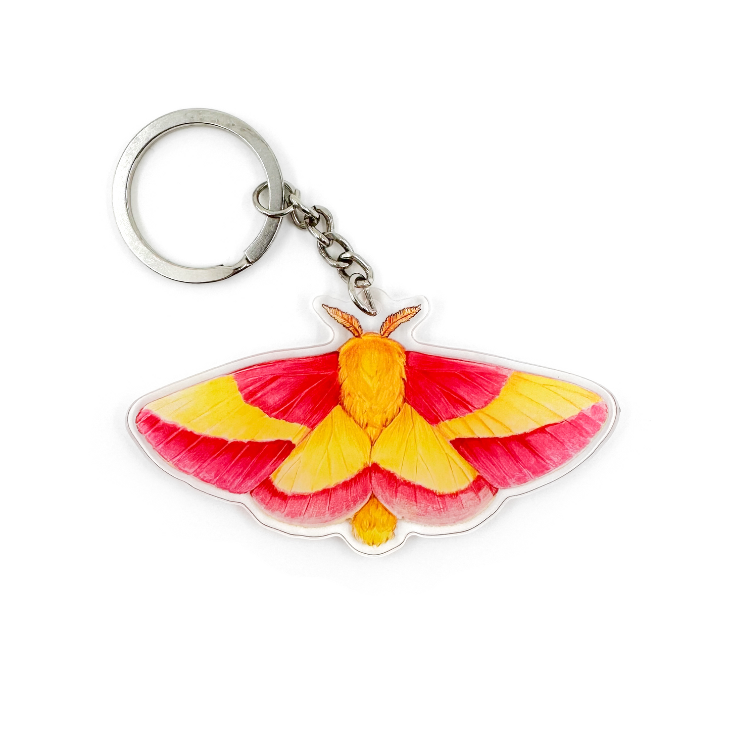 A keychain featuring an illustration of a rosy maple moth