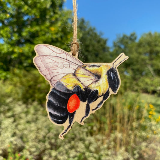 A wooden ornament strung with twine of a common eastern bumble bee.