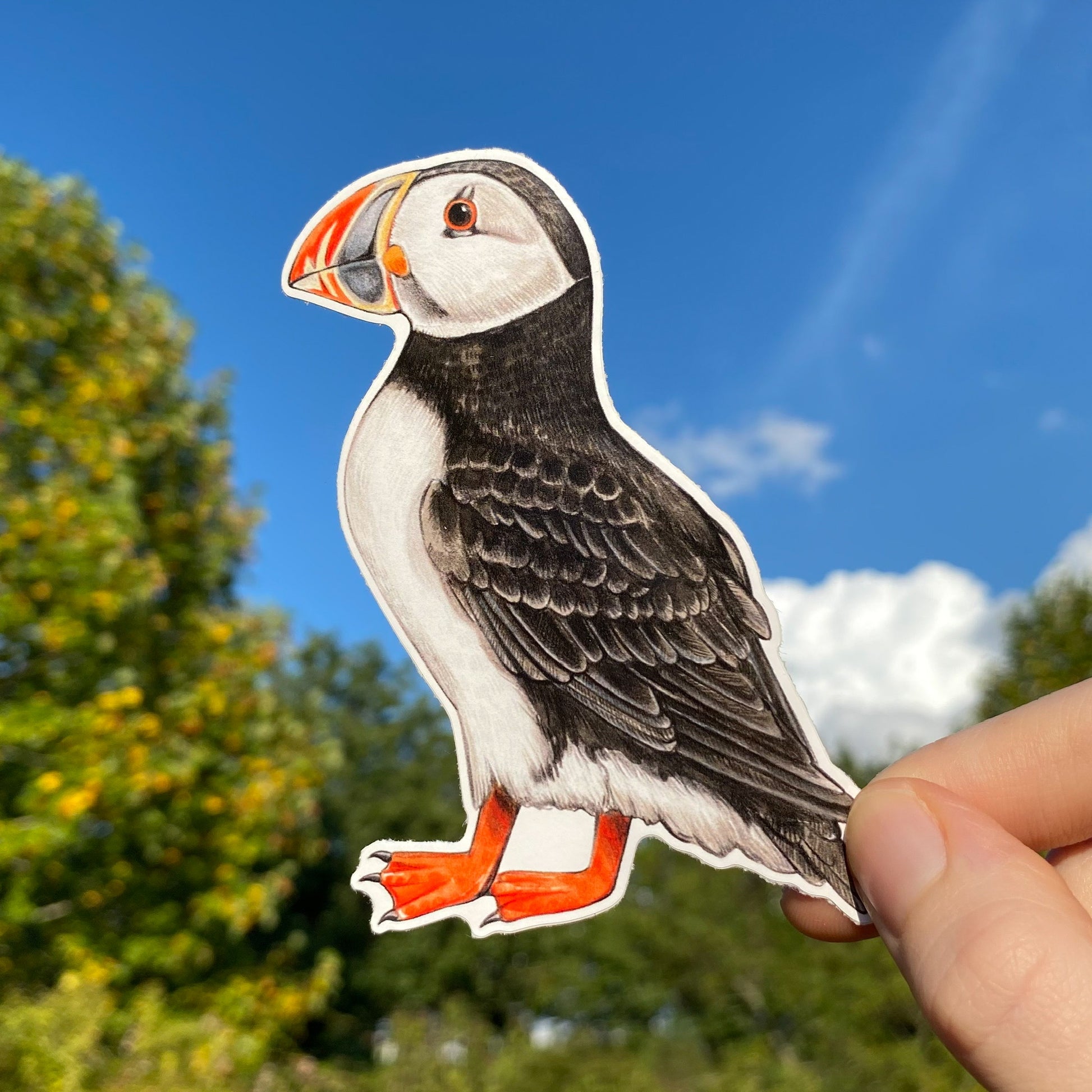 A hand holding a weatherproof vinyl sticker of an Atlantic puffin.