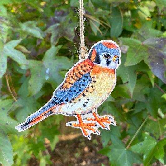 A wooden ornament strung with twine of a male American kestrel.