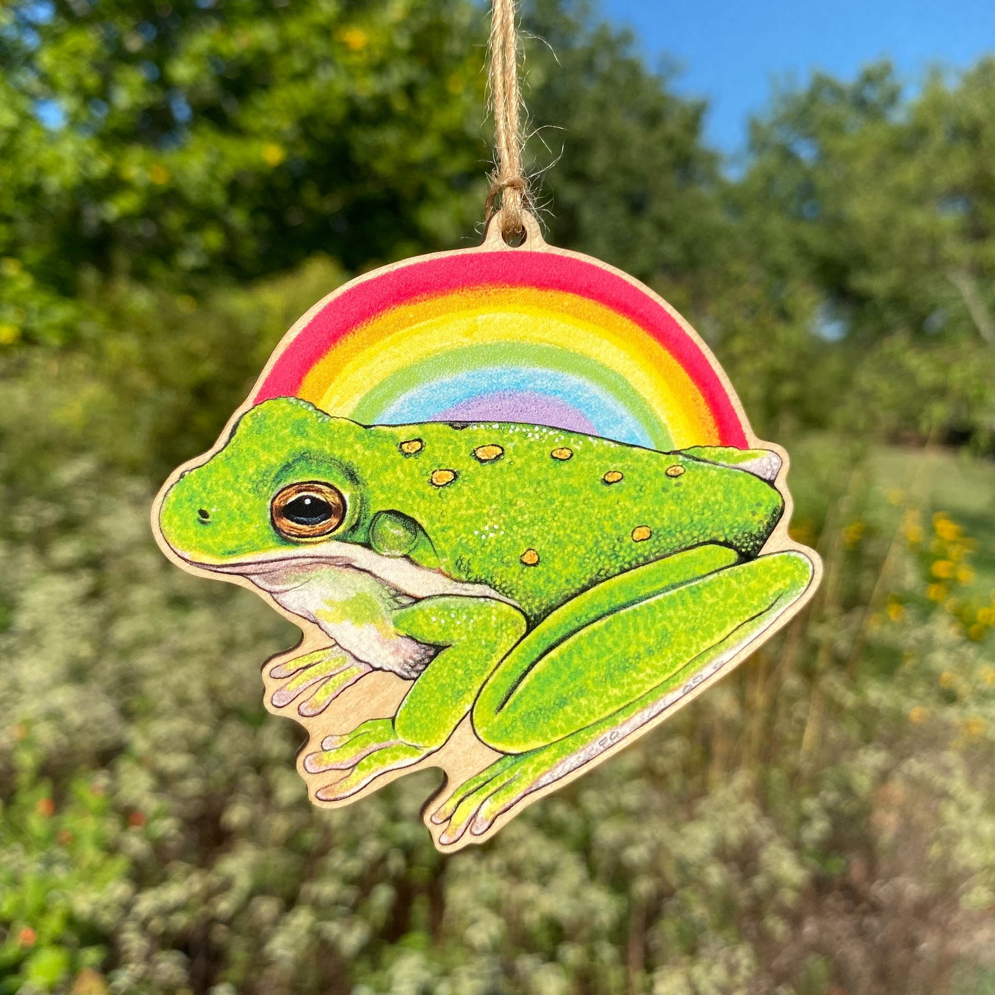 A wooden ornament strung with twine of a green tree frog in front of a rainbow.