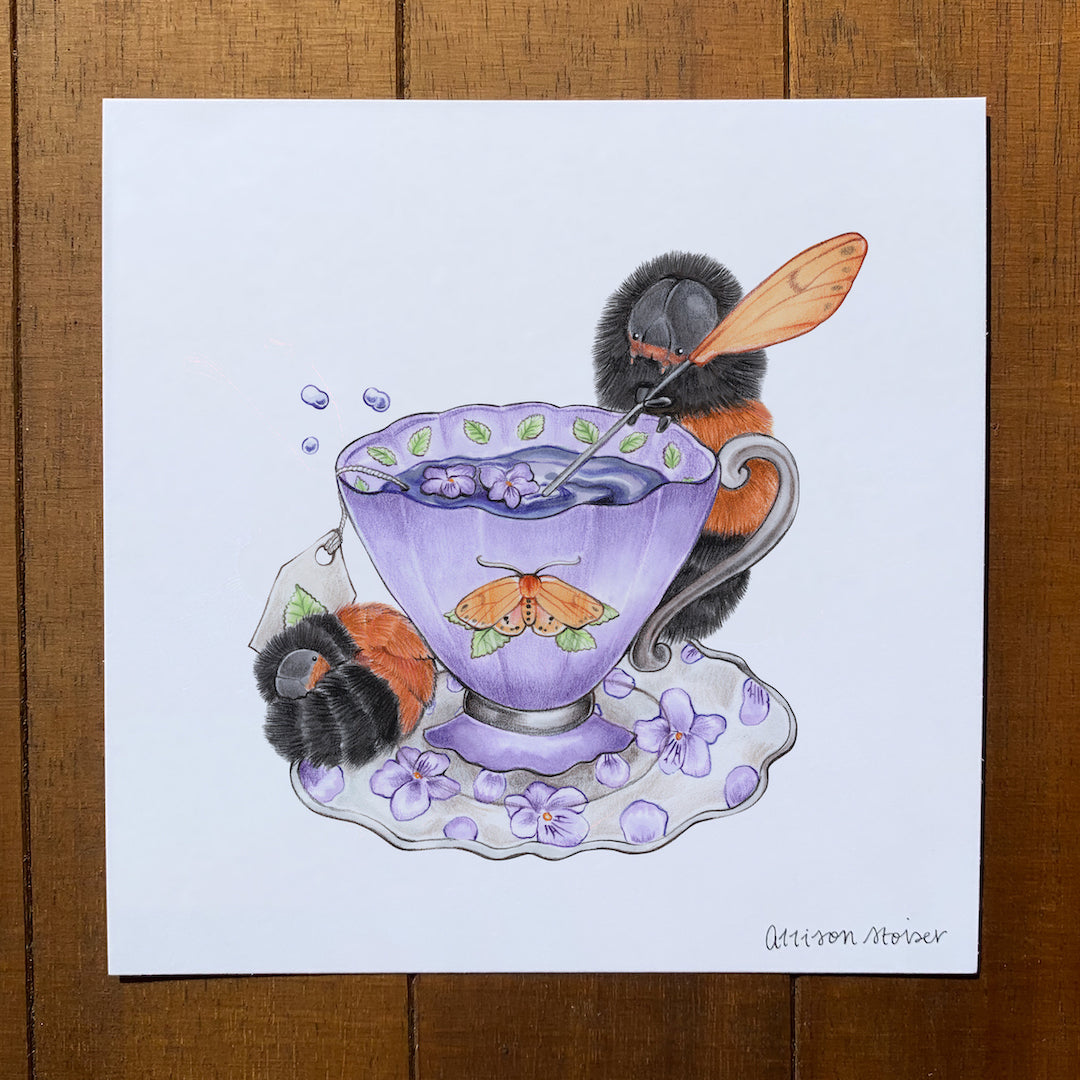 Teacup Woolly Bear Caterpillar Print (5" x 5")