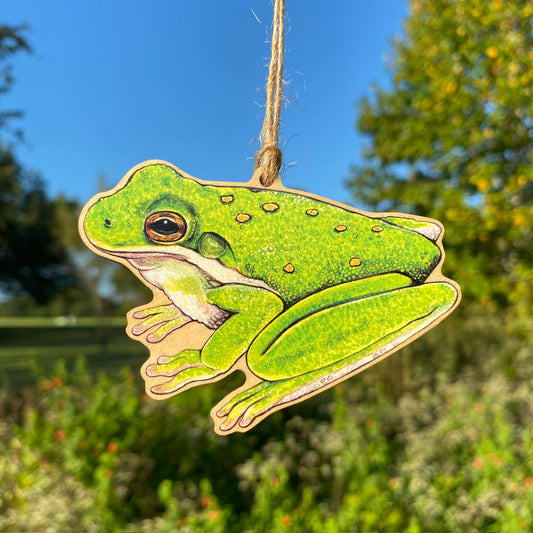 A wooden ornament strung with twine of an American green tree frog.