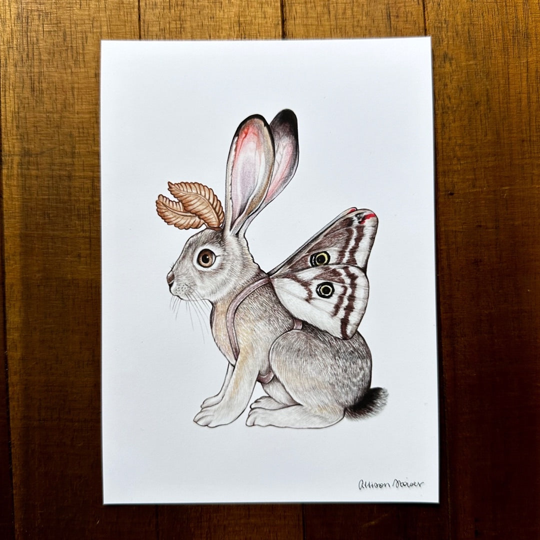 A 5" by 7" print of a jackrabbit dressed up in greasewood silkmoth wings.