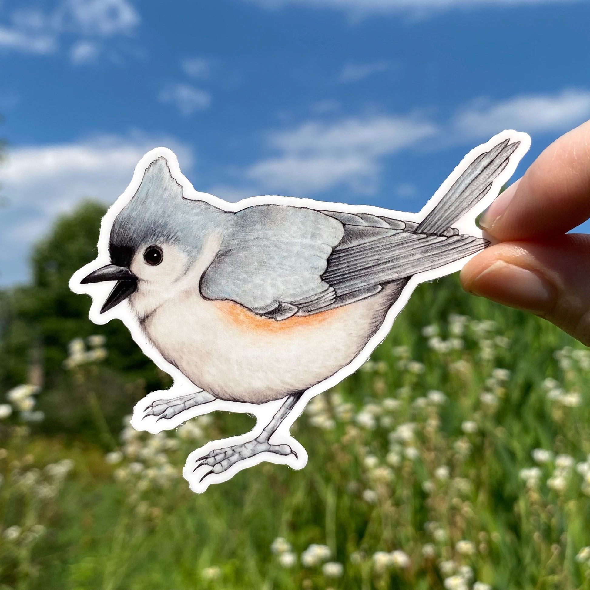 A hand holding a weatherproof vinyl sticker of a tufted titmouse.