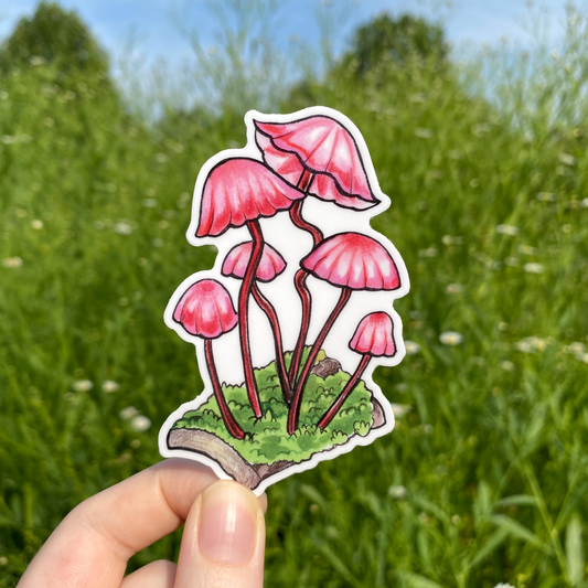 Pink Marasmius Mushroom Weatherproof Vinyl Sticker
