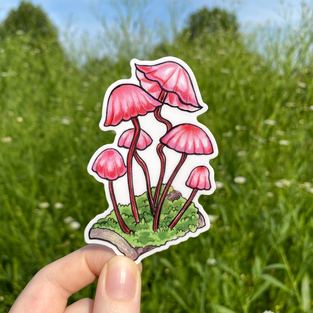 A hand holding a weatherproof vinyl sticker of a pink marasmius mushroom.