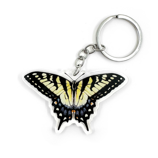 A keychain featuring an illustration of an eastern tiger swallowtail butterly