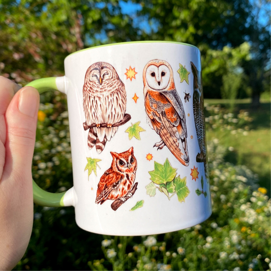 Owls of the Eastern United States Mug
