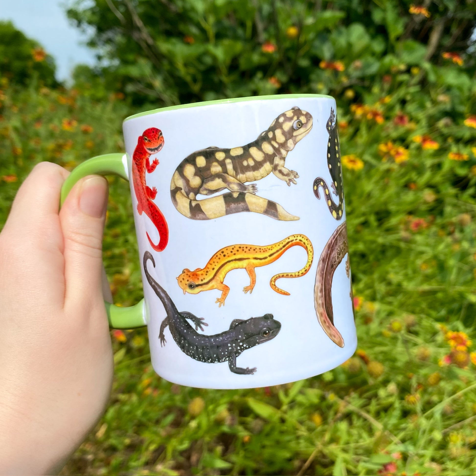 A hand holding a green handled mug of salamanders. This side shows the red salamander, tiger salamander, slimy salamander, and blue-ridge two lined salamander.