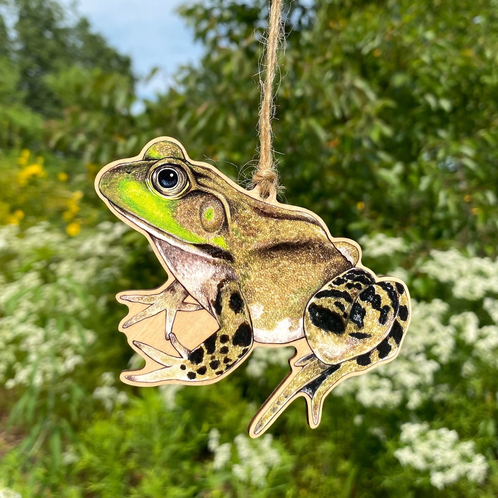 A wooden ornament strung with twine of an American bullfrog.