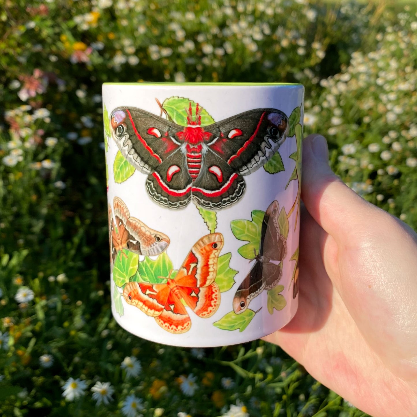 Silk Moths of the Eastern United States Mug