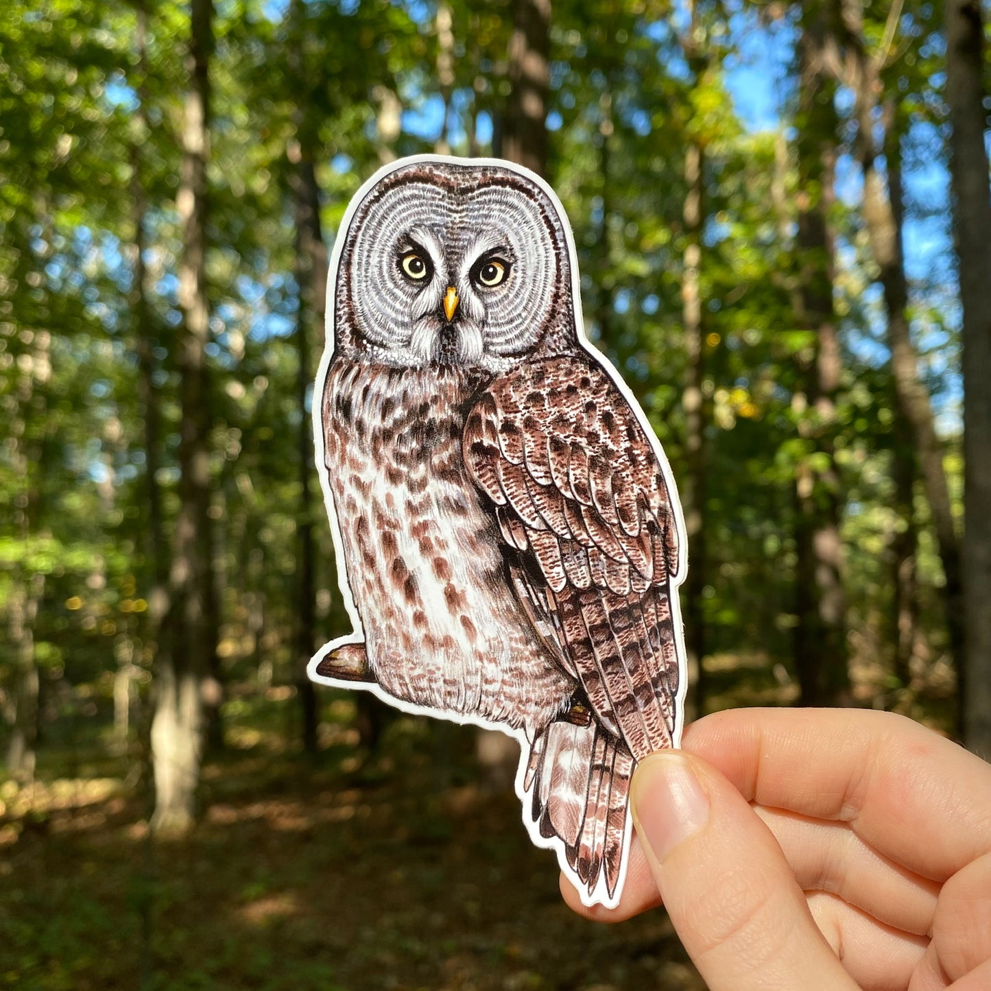 A weatherproof vinyl sticker featuring an illustration of a great gray owl