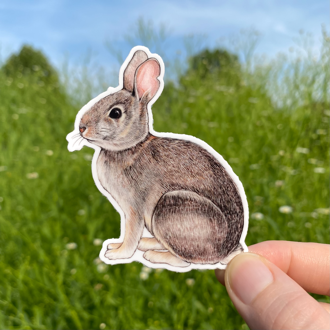 Eastern Cottontail Rabbit Weatherproof Vinyl Sticker