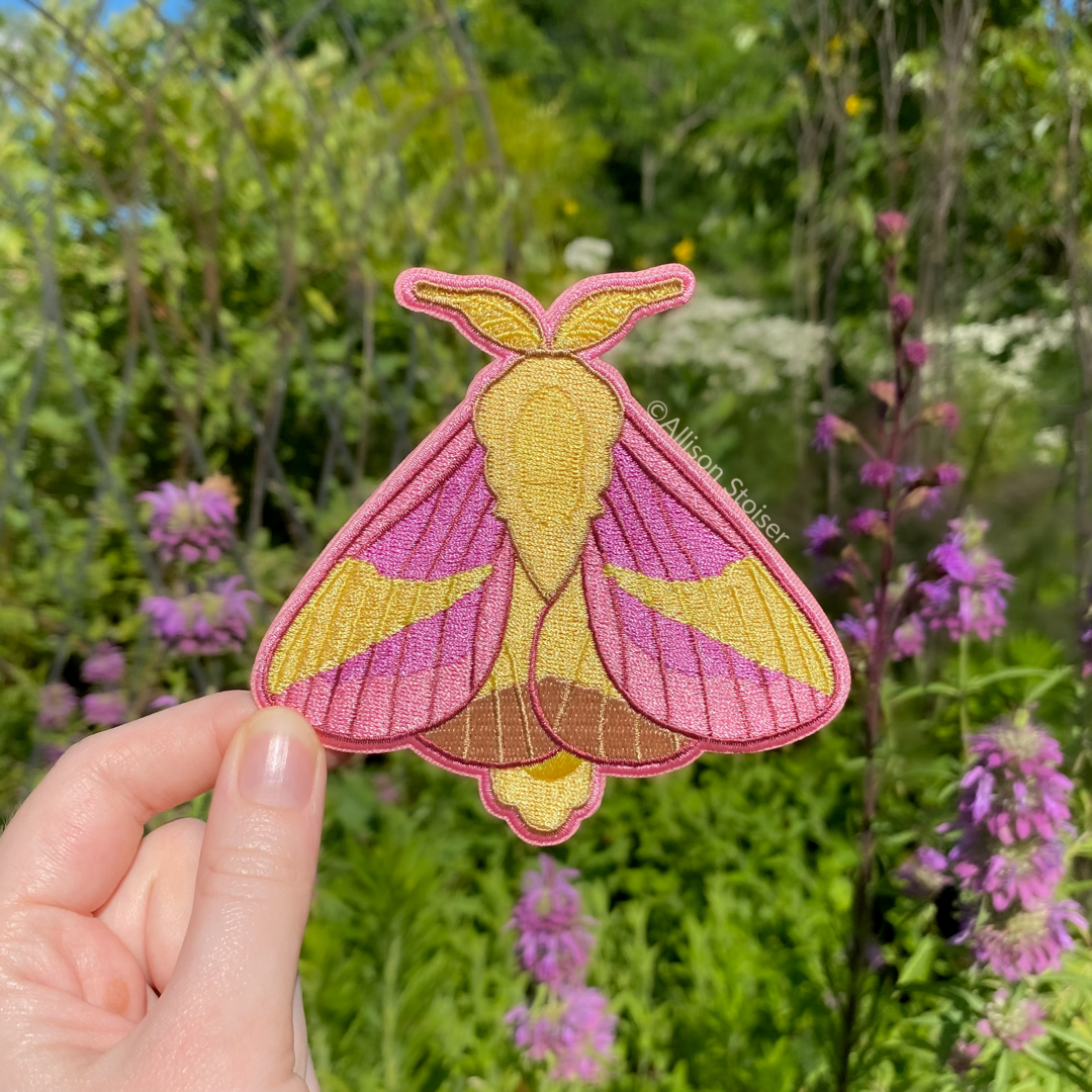 A hand holding an embroidered patch of a pink and yellow rosy maple moth.