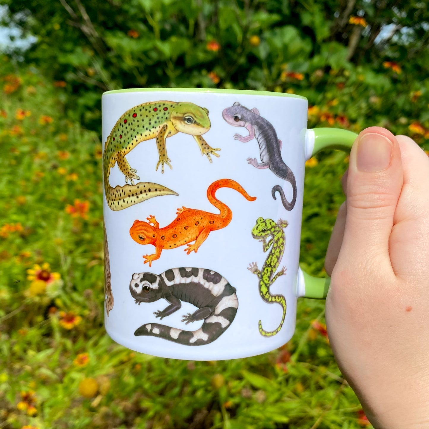 A hand holding a green handled mug of salamanders. This side shows the