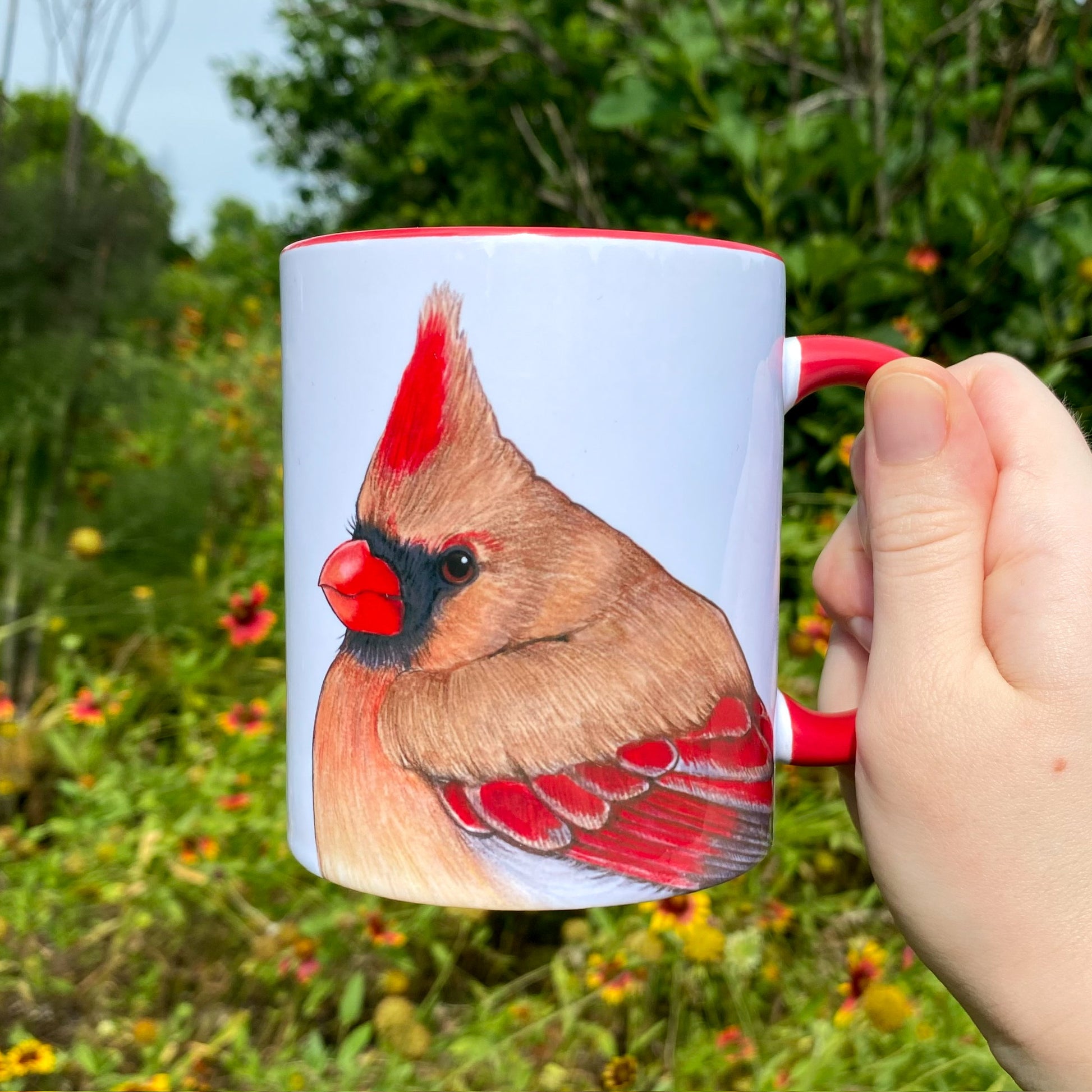 A hand holding a red-handled mug showing two North American cardinals. This image shows the side with the female.