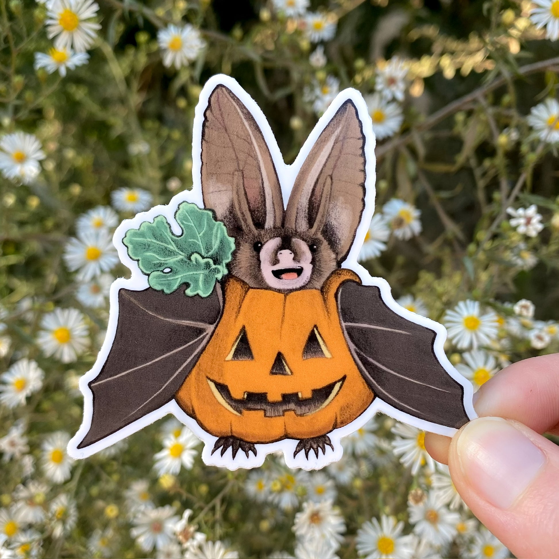 A hand holding a weatherproof vinyl sticker of a bat in an orange pumpkin.