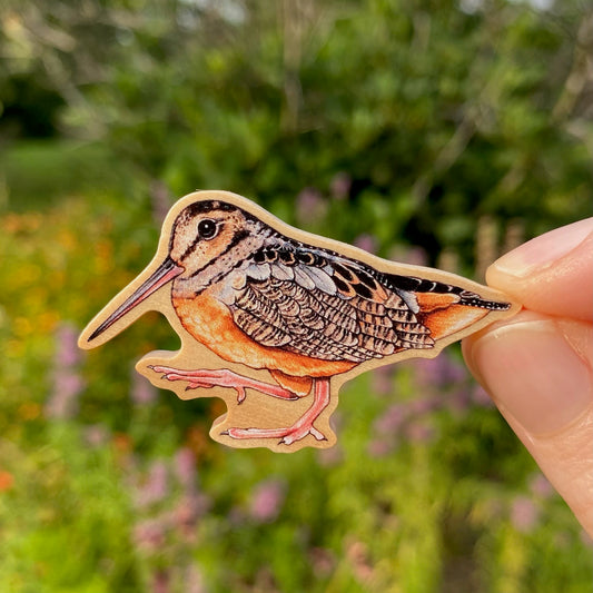 American Woodcock Pin