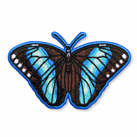 Achilles morpho patch on a white background