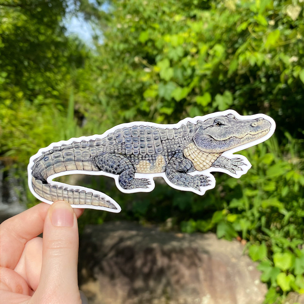 A hand holding a sticker of an American alligator.