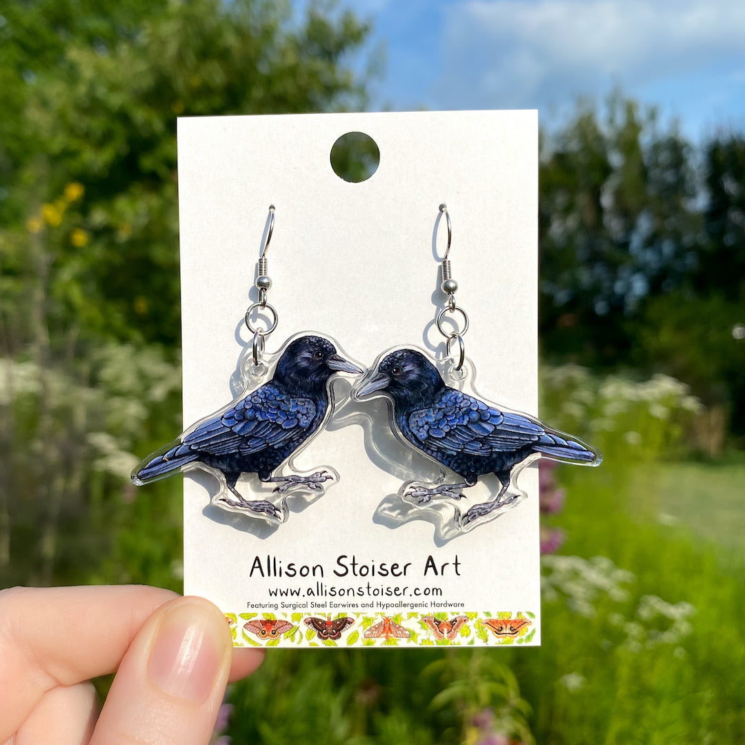 A hand holding a pair of acrylic earrings of American crows.