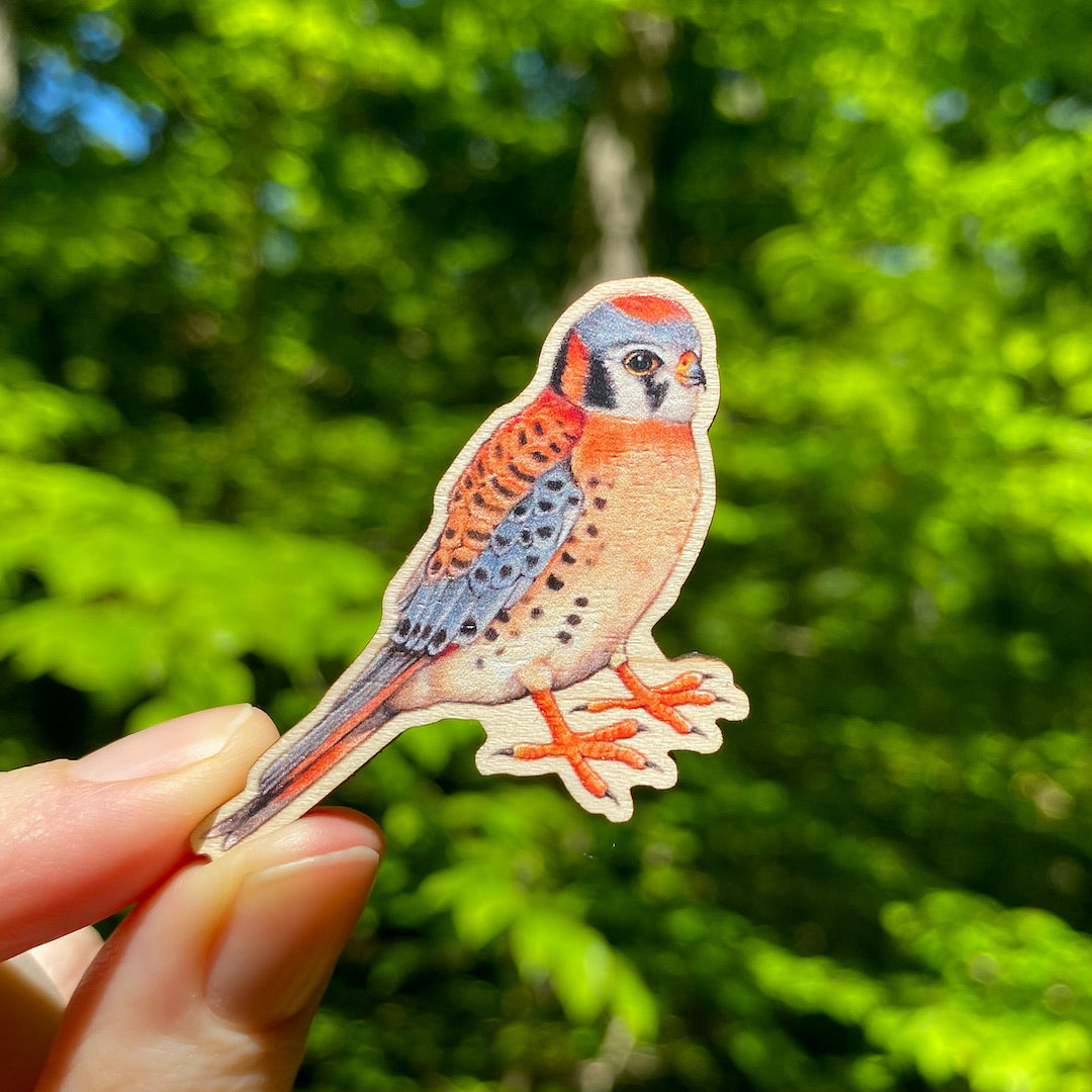 A hand holding a wooden pin of a male American kestrel.