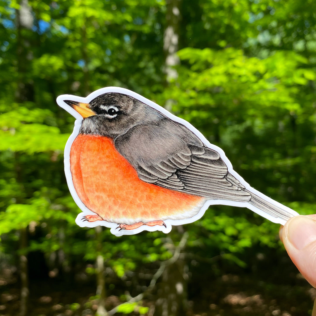 A hand holding a sticker featuring an illustration of an American robin