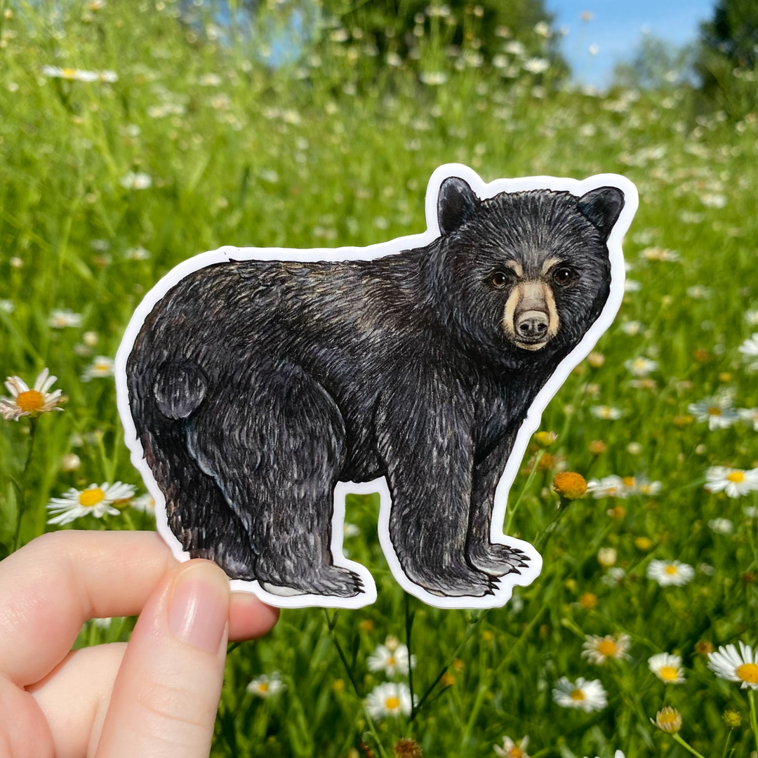 A hand holding a sticker featuring an illustration of an American black bear.