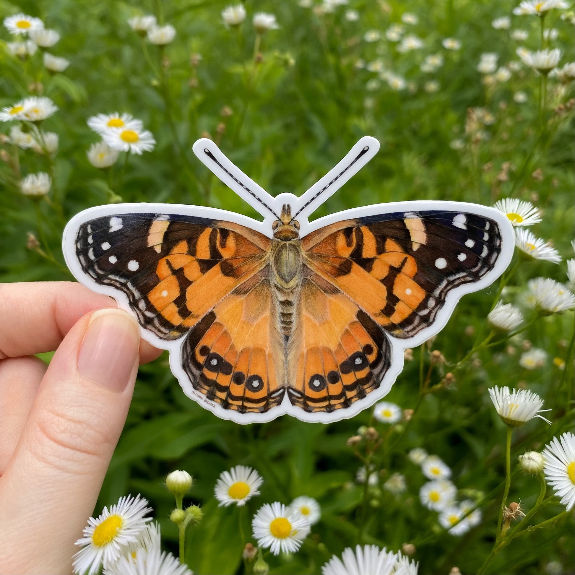 American lady butterfly sticker held over a field of flowers