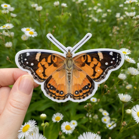 American lady butterfly sticker held over a field of flowers