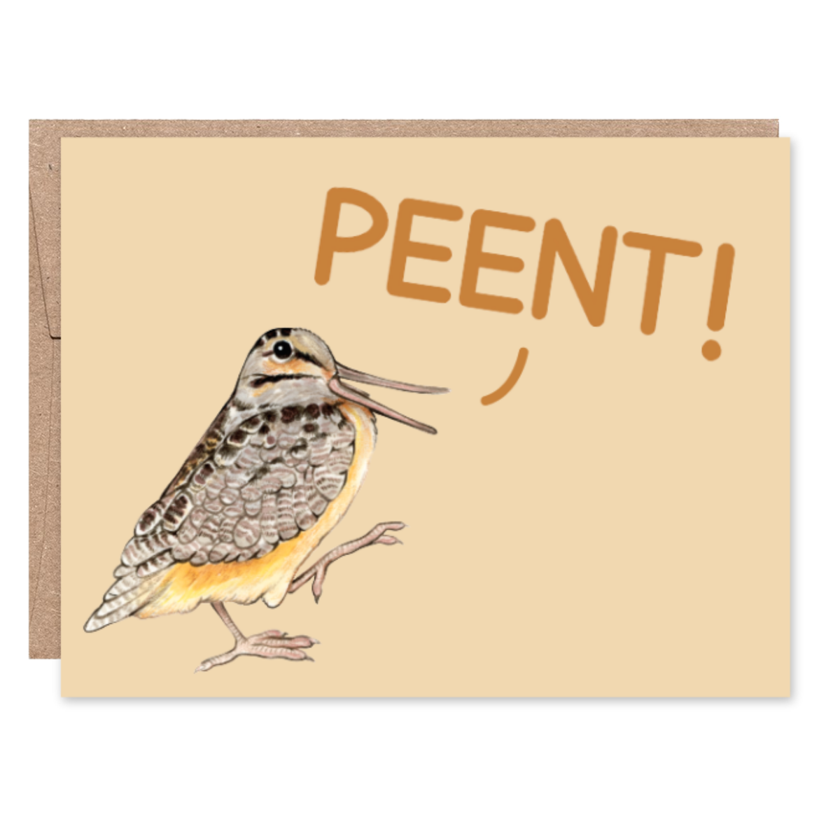 An American woodcock saying Peent!