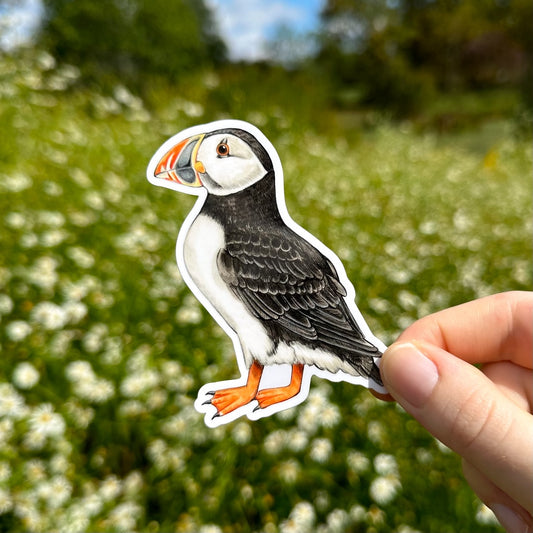 a sticker of an Atlantic puffin