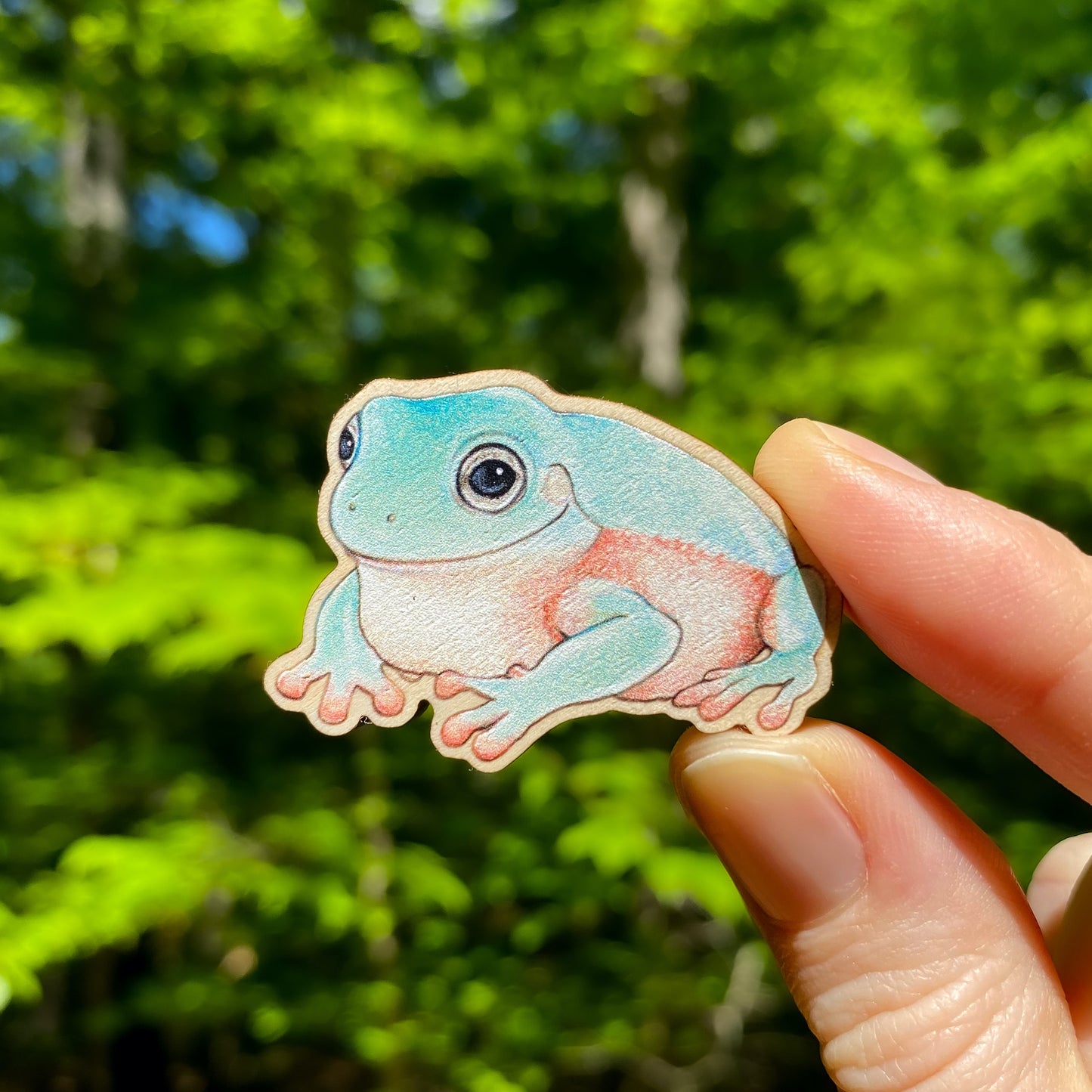 A hand holding a wooden pin of an Australian green tree frog.