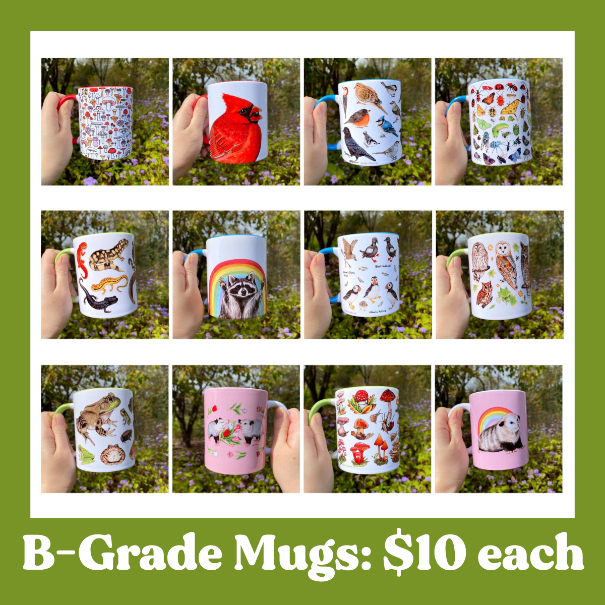 Collage of various mugs with different designs held by hands against a natural background, with text indicating B-Grade Mugs and price ($10 each)